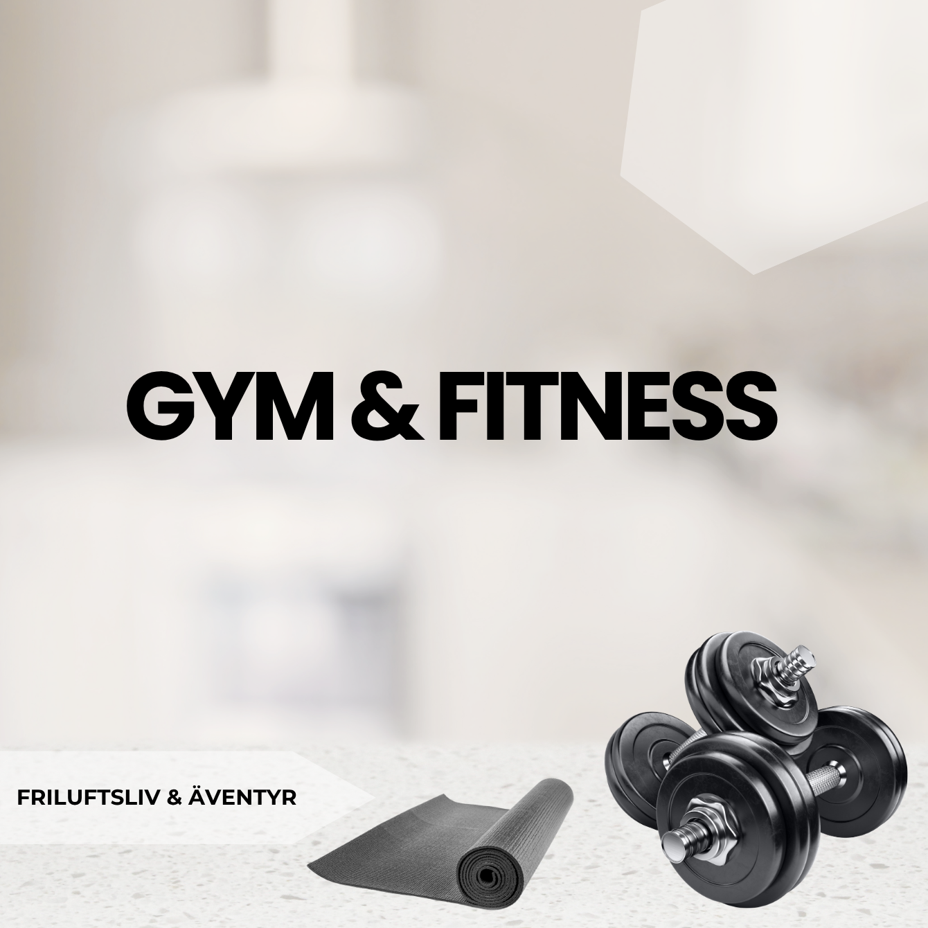 Gym & Fitness