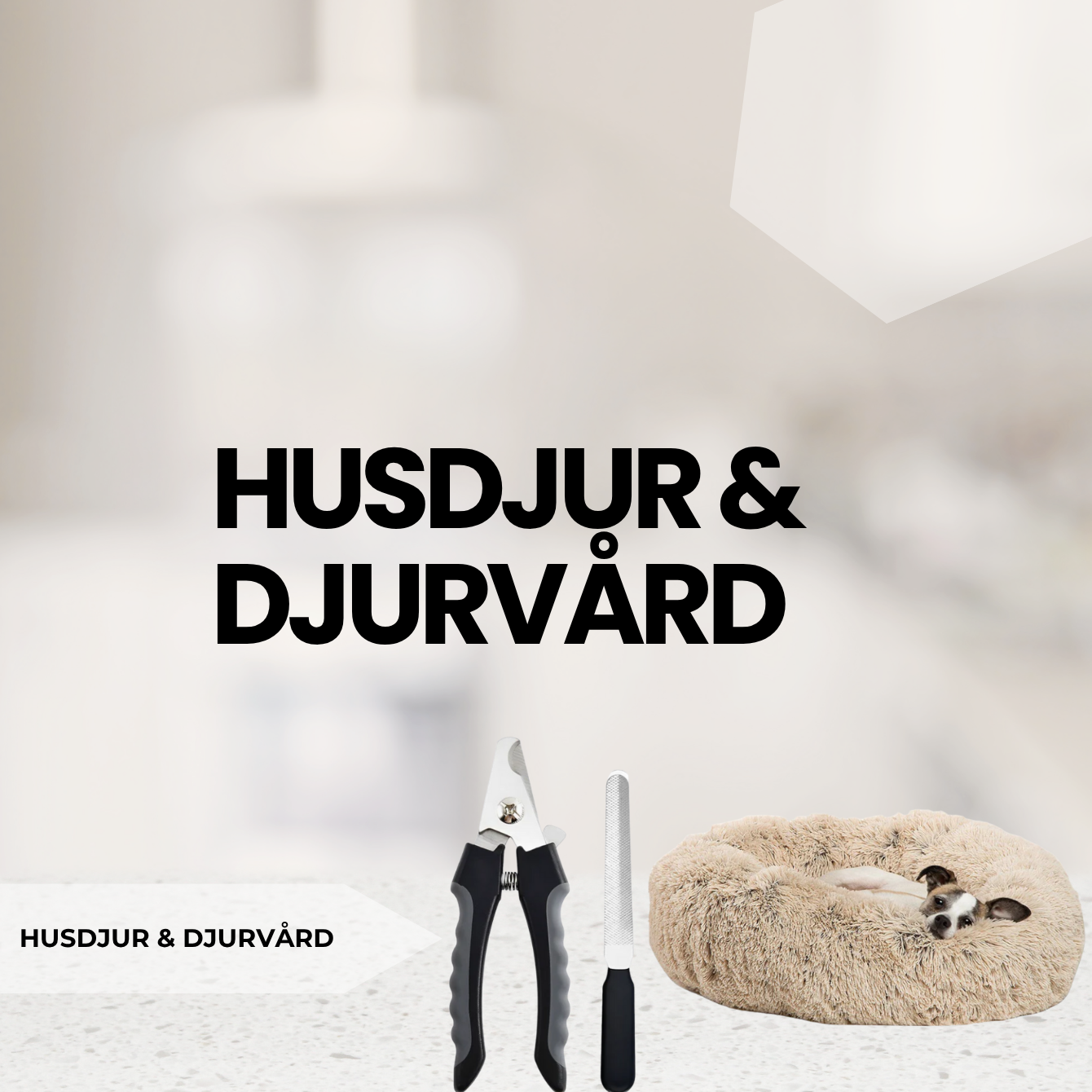 Husdjur & Djurvård