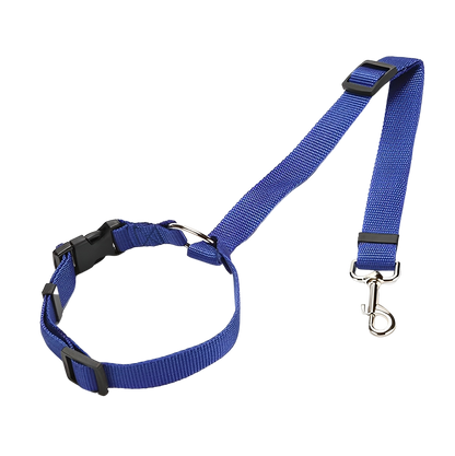 Ett blått justerbart hundhalsband och koppel i nylon med metallklämma och plastspänne, perfekt för användning med Elevkassan Bilbälte för Hund för extra säkerhet hund i bilen, visas på svart bakgrund.