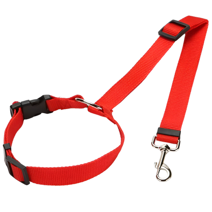Elevkassan Bilbälte för Hund, ett rött justerbart halsband med plastspänne, metallspänne och matchande nylonkoppel, visas på en svart bakgrund - perfekt för säkra hundresor som bilsele hund eller hundsele bil.